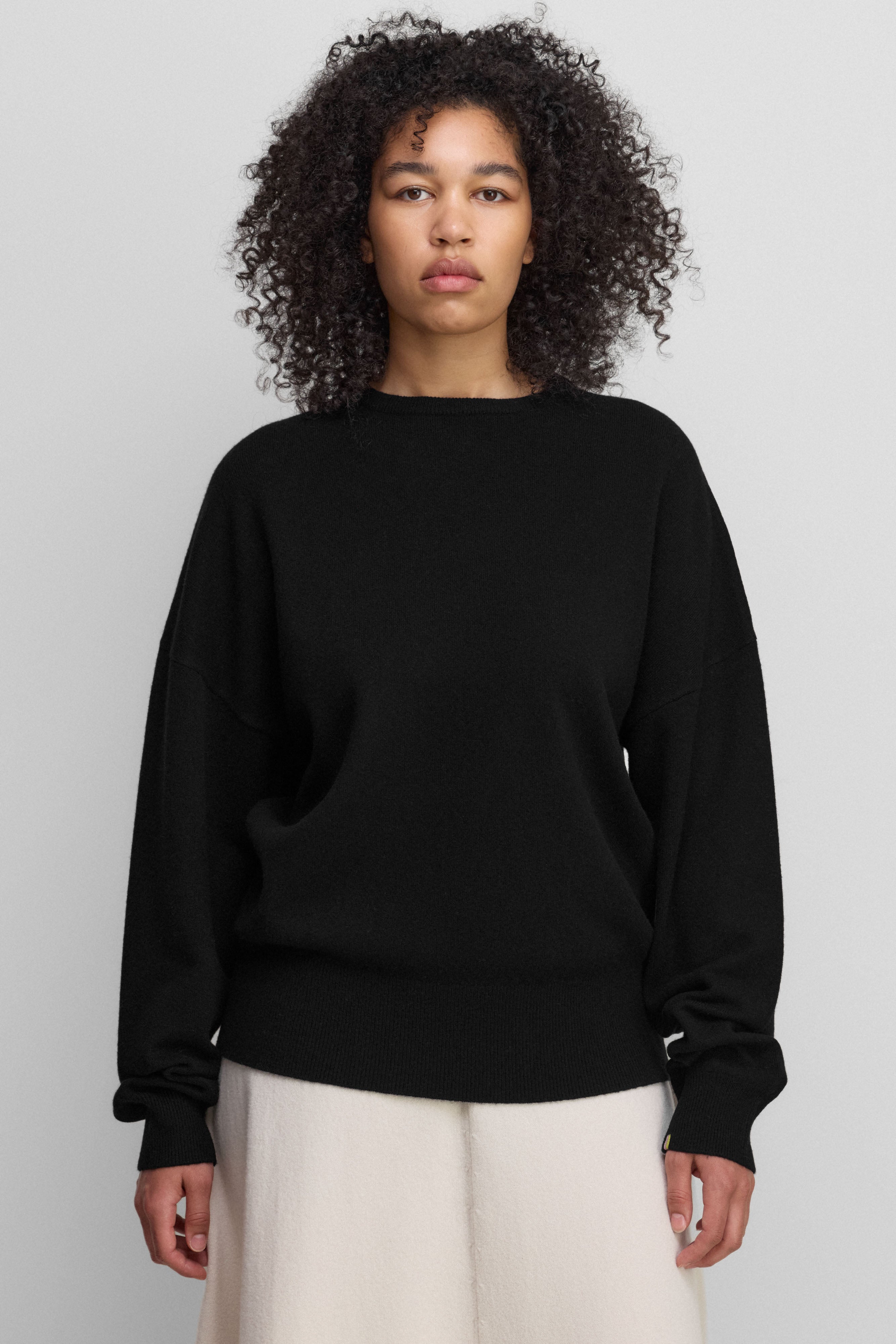 extreme cashmere crewneck sweater unisex – 355 tes – extreme