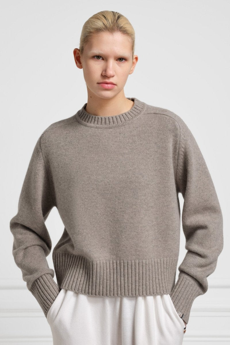 extreme cashmere 100% crew-neck sweater n°167 please