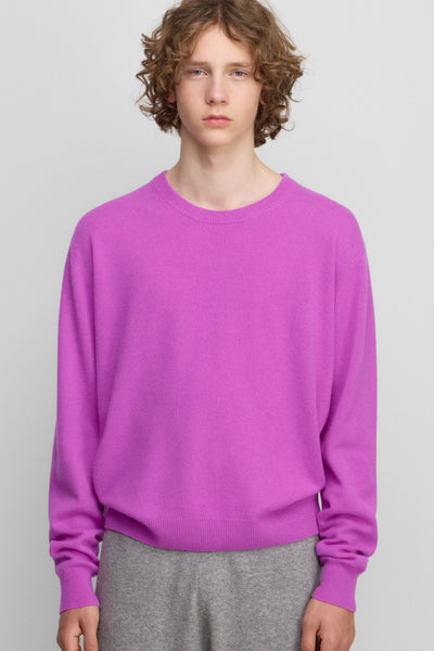 extreme cashmere crewneck sweater light – 397 bis – extreme cashmere x