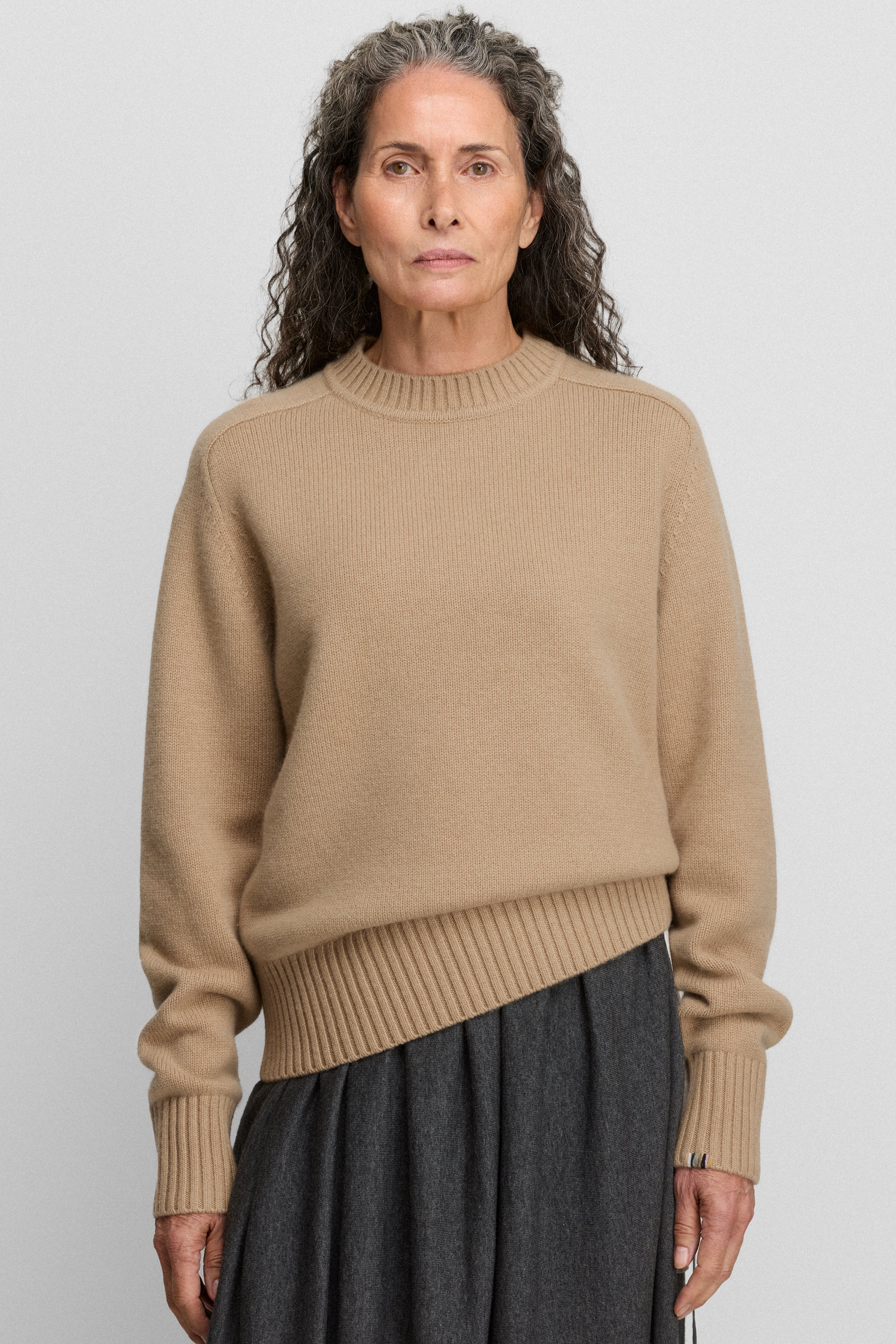 extreme cashmere crewneck sweater n123 bourgeois – extreme cashmere x