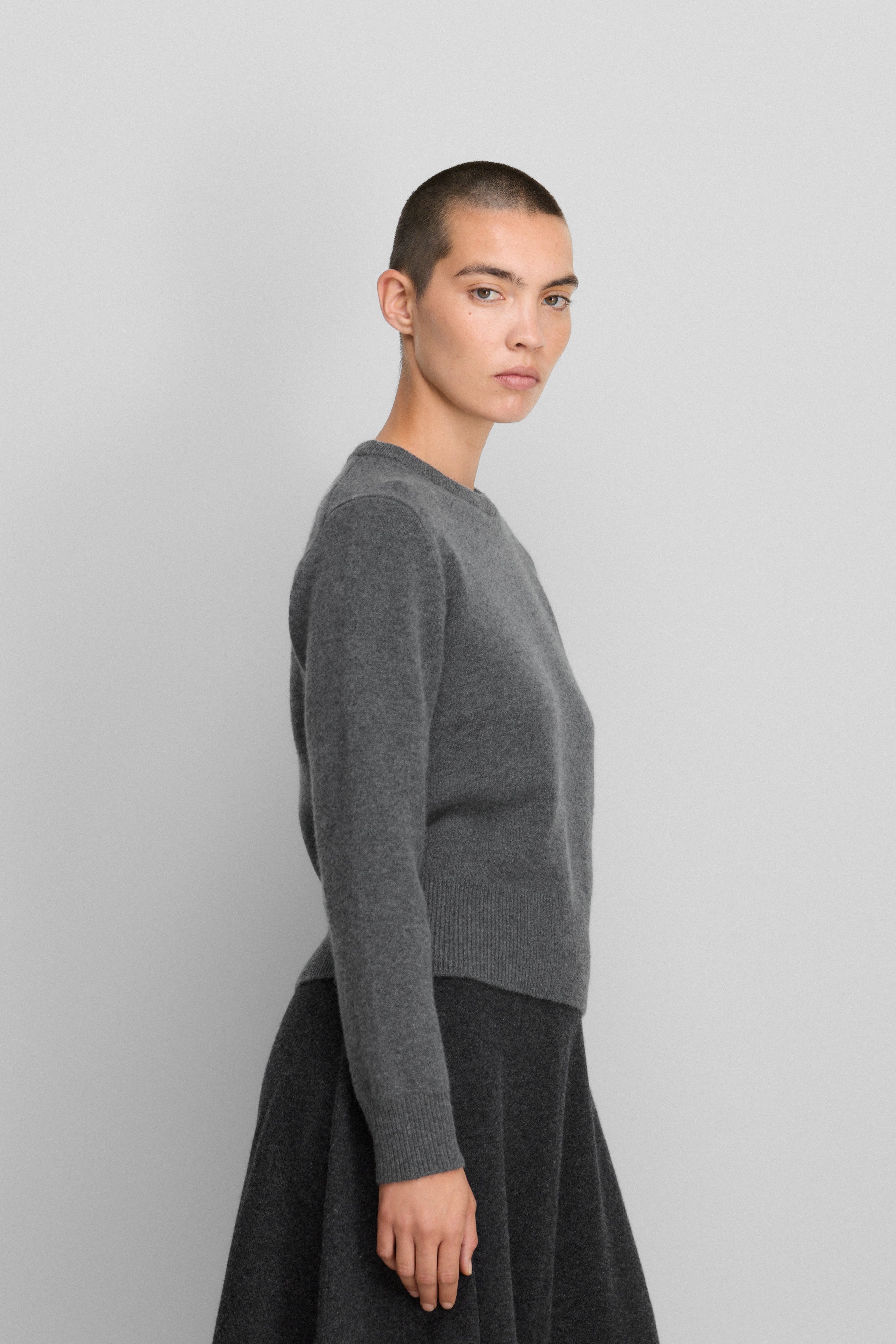 extreme cashmere crew-neck sweater 430 jeanne – extreme cashmere x