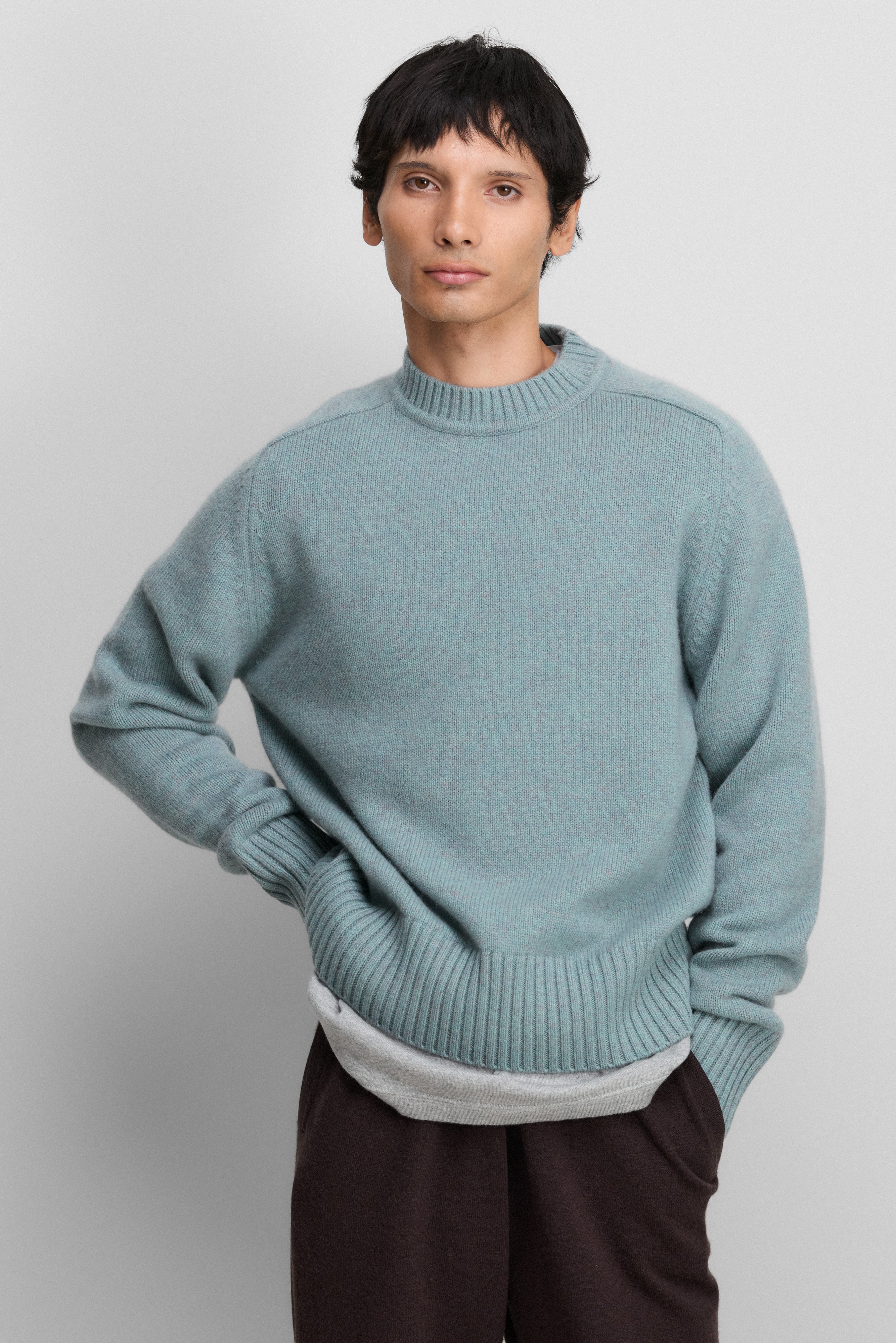 extreme cashmere crewneck sweater n123 bourgeois – extreme cashmere x