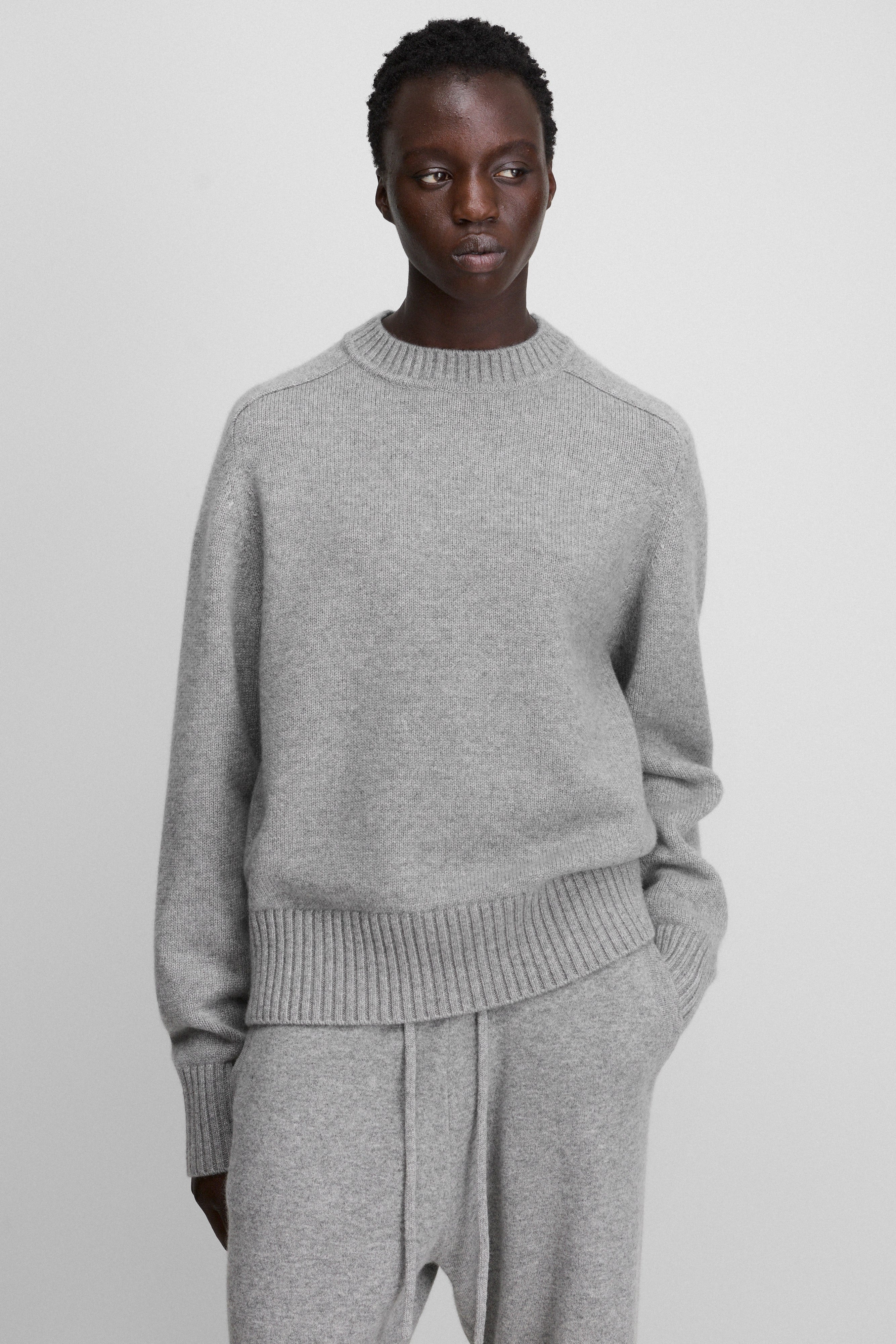 extreme cashmere crewneck sweater n123 bourgeois – extreme cashmere x