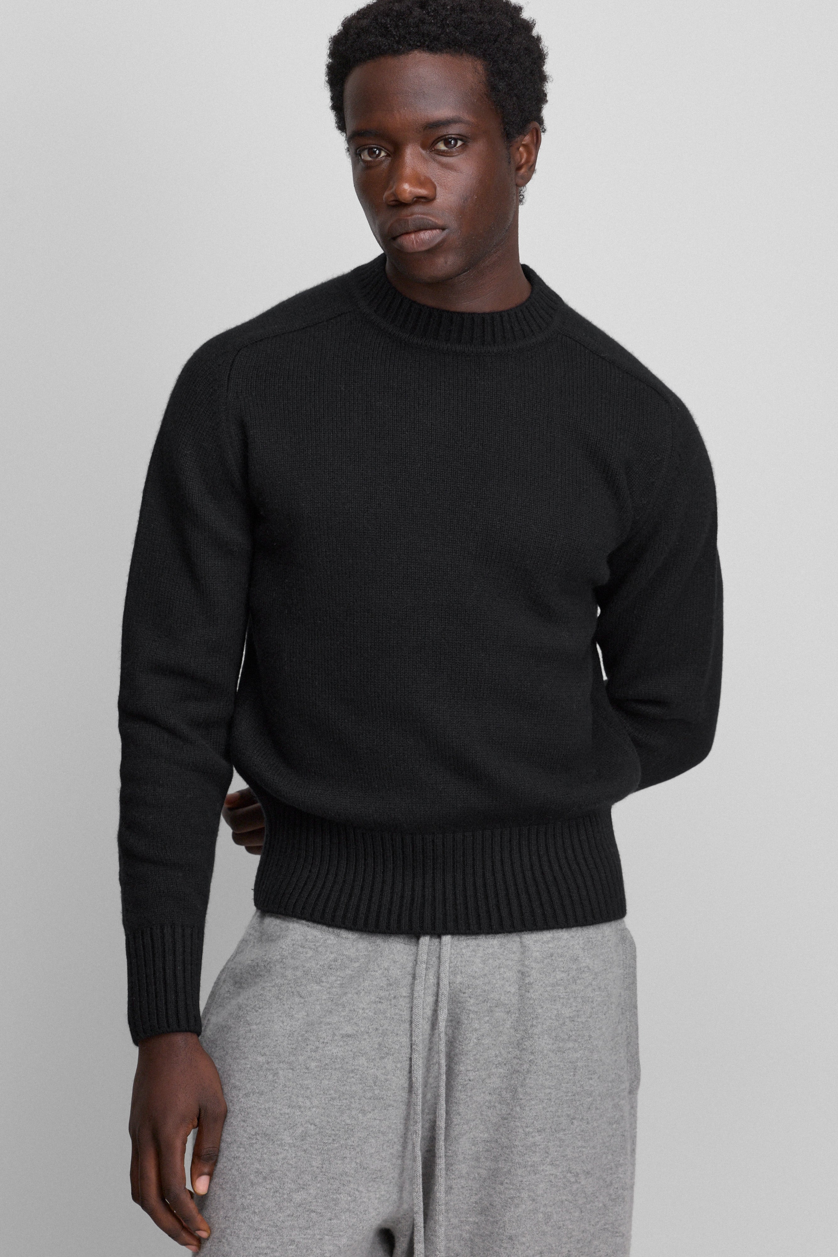extreme cashmere crewneck sweater n123 bourgeois – extreme cashmere x